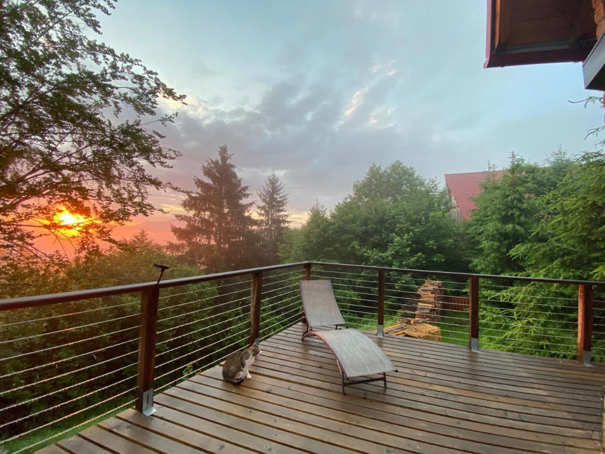 Carpathian Log Home Bran  Buitenkant foto