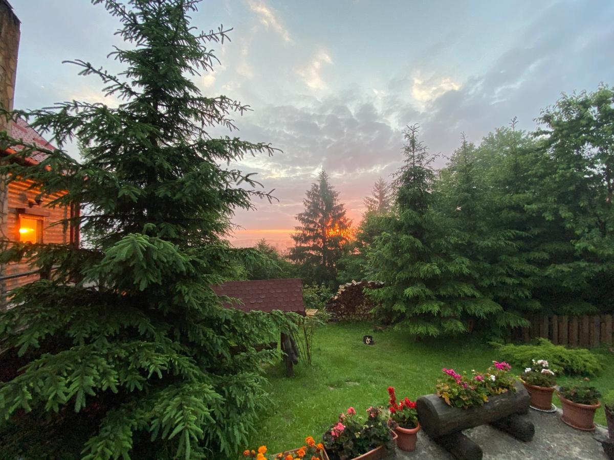 Carpathian Log Home Bran  Buitenkant foto